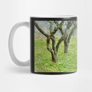 Apple trees in an orchard Mug